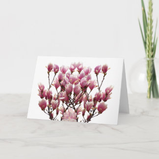 Carte Fleur de printemps rose florissante Magnolias