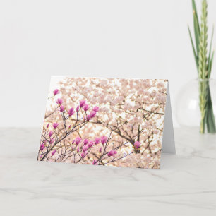 Carte Fleur de printemps rose pourpre en floraison