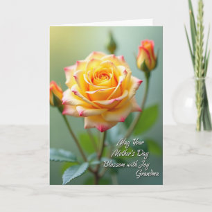Carte Fleur de Rose des Mères Douces