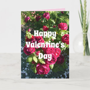 Carte Fleur de rose rouge Floral Roses Vintages Valentin