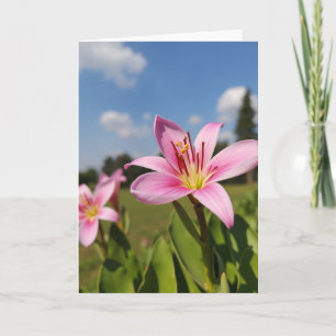 Carte Fleur de Rose Thé