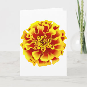 Carte Fleur de Tagète