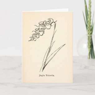 Carte Fleur de théière illustration vintage nonsens bota