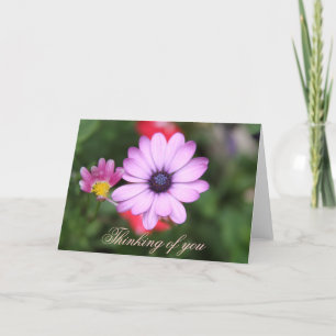 Carte Fleur de type marguerite rose