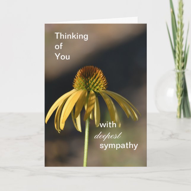 Carte Fleur d'échinacée jaune Sympathie profonde (Devant)