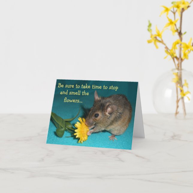 Carte Fleur d'odeur de souris (Fleur jaune)