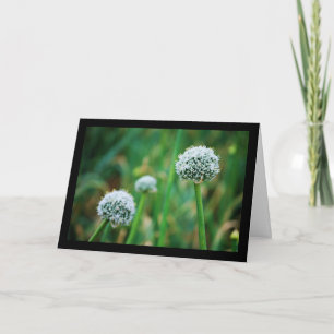 Carte Fleur d'oignon sauvage
