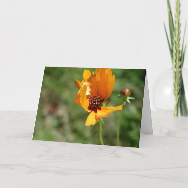 Carte fleur d'oranger (Devant)