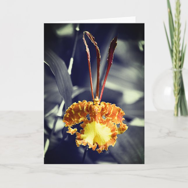 Carte Fleur d'orchidée jaune (Devant)