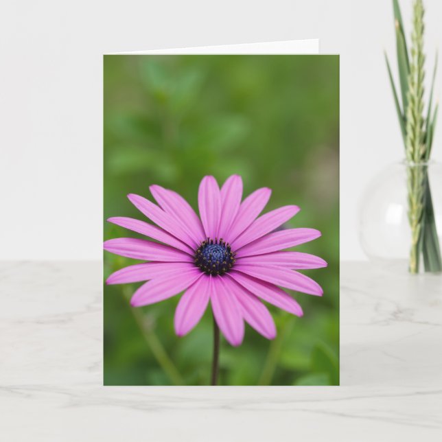 Carte Fleur Éclosion Émeraude (Devant)