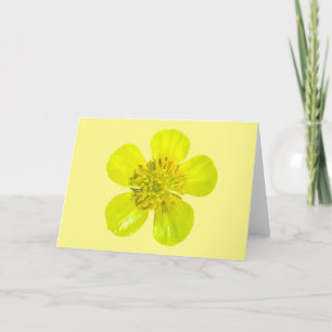 Carte Fleur en beaming Buttercup - transparent.