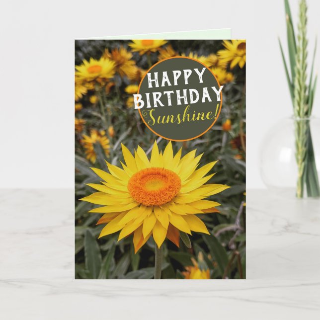Carte Fleur en papier Happy Energy Daisy Joyeux Annivers (Devant)