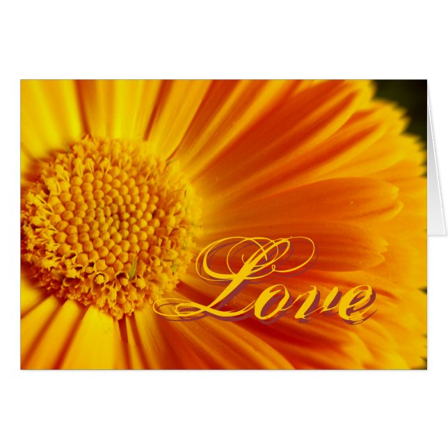 Carte Fleur FreshLove (Devant horizontal)