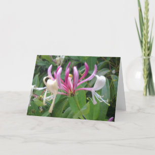 Carte Fleur Honeysuckie