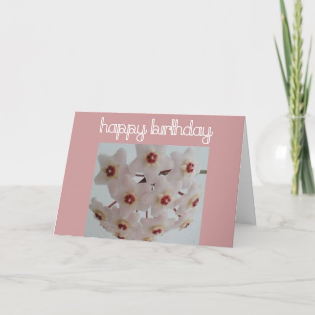 Carte Fleur Hoya Anniversaire (Devant)