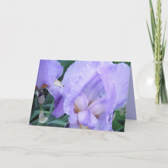 Carte Fleur - Iris (Devant)