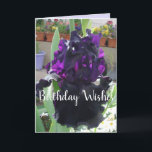 Carte Fleur Iris Noir Floral Photo Love Anniversaire Car<br><div class="desc">Carte d'Anniversaire Fleur Iris Noir Fleur Floral Photo Love. Une carte magnifique,  son vide laissé à l'intérieur pour que vous puissiez ajouter votre propre message. Conçu à partir d'une de mes aquarelles iris originales.</div>