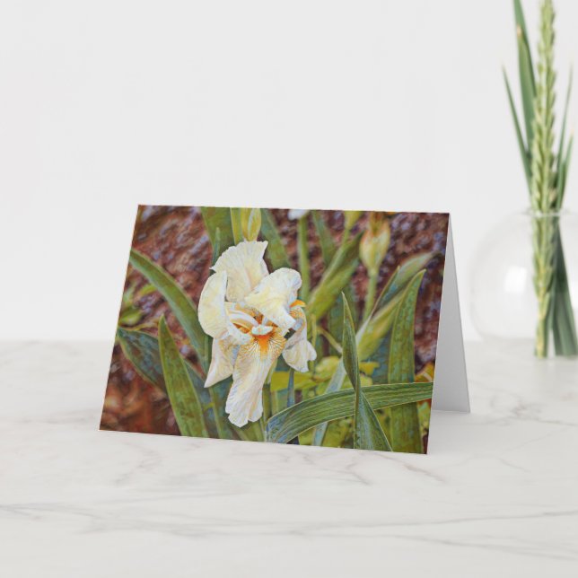 Carte Fleur Iris Wild (Devant)