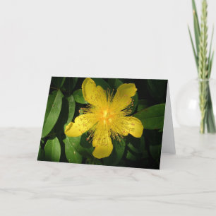 Carte Fleur Jaune
