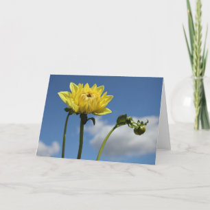 Carte Fleur jaune de dahlia au soleil