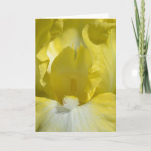 Carte Fleur Jaune Iris
