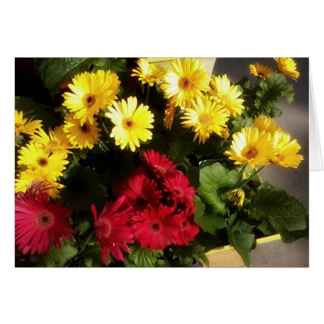 Carte Fleur lumineuse (Devant Horizontal)