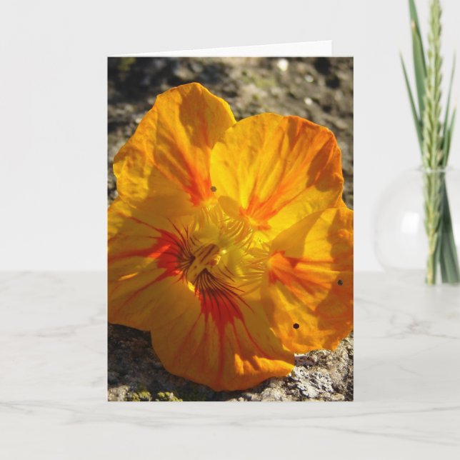 Carte Fleur orange (Devant)