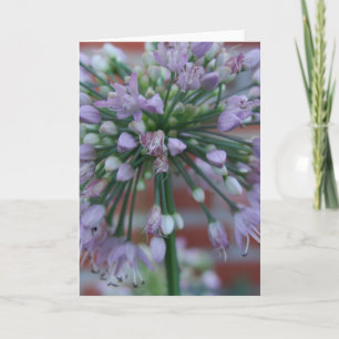 Carte Fleur pourpre