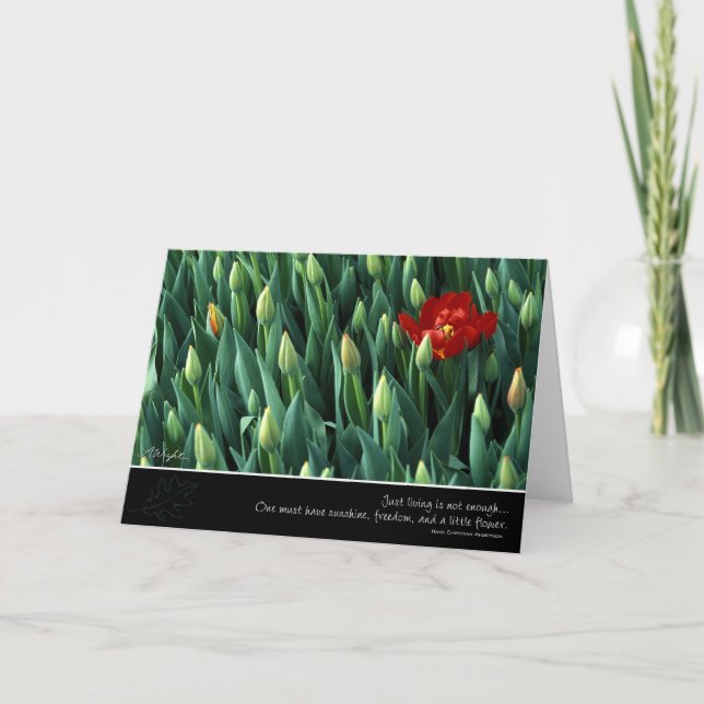 Carte Fleur Précoce, par Anna Wight (Devant)