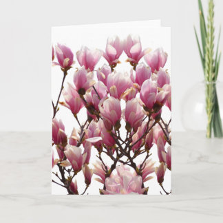 Carte Fleur rose de floraison de ressort de magnolias