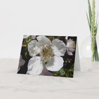 Carte Fleur rose sauvage