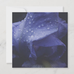 Carte Fleur Rose violet