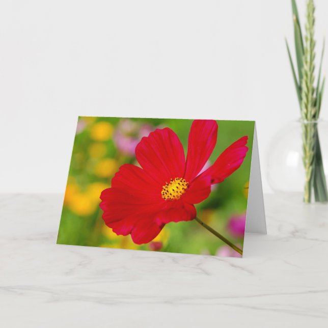 Carte Fleur rouge (Devant)