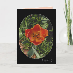Carte fleur rouge de printemps