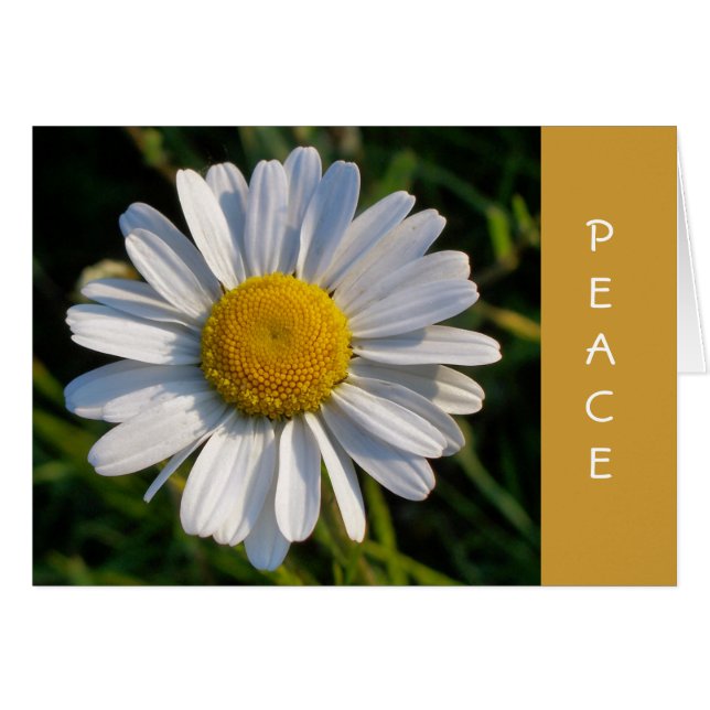 CARTE FLEUR SAUVAGE (Devant horizontal)