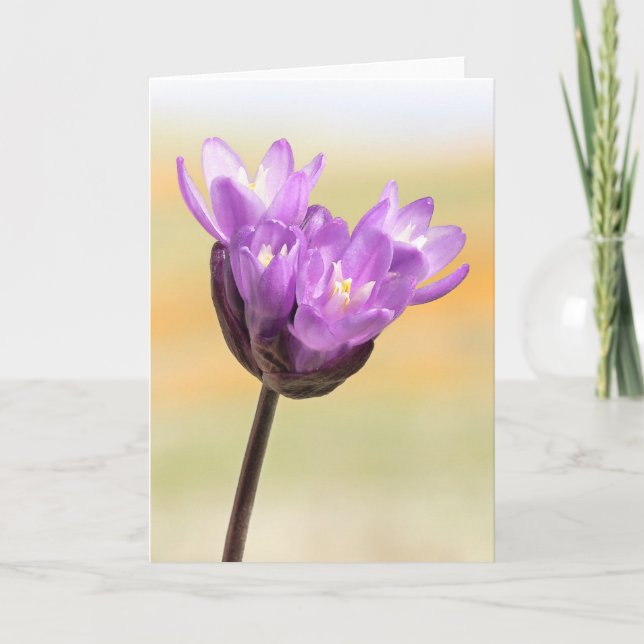 Carte Fleur sauvage Bleu (Devant)