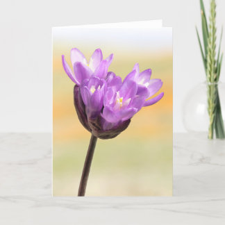 Carte Fleur sauvage Bleu