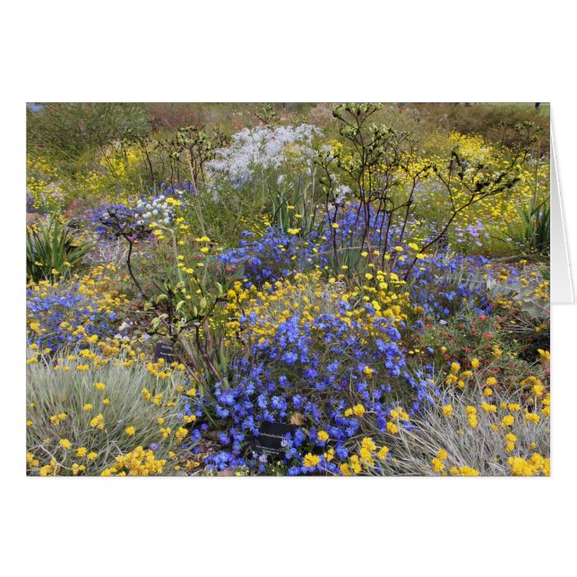 Carte fleur sauvage de printemps (Devant horizontal)