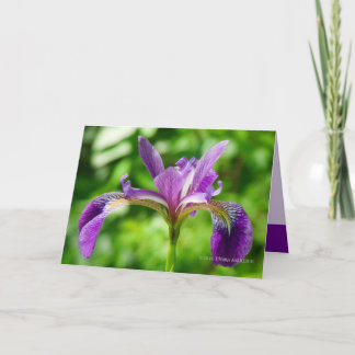 Carte Fleur sauvage d'iris
