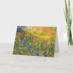 Carte Fleur sauvage du printemps