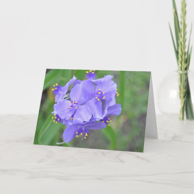 Carte Fleur sauvage du Texas (Devant)