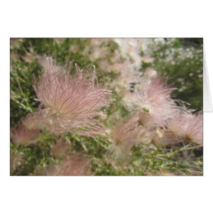 Carte Fleur sauvage Haut Désert