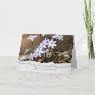 Carte fleur sauvage hepatica penser à vous