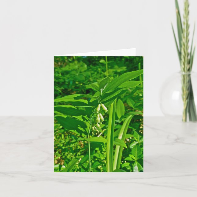 Carte Fleur sauvage Solomon's Seal (Devant)