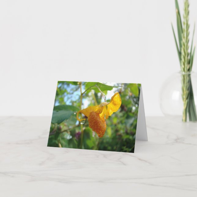 Carte Fleur sauvage tactile-moi-non-orange (Devant)