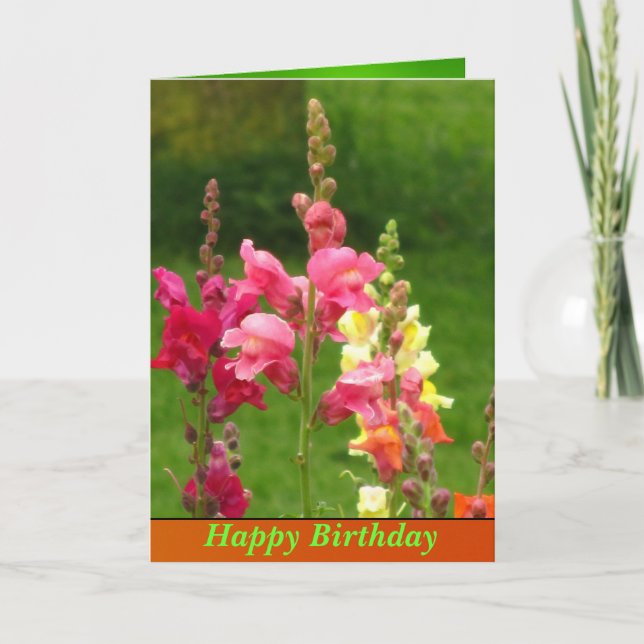 Carte Fleur Snapdragon rose Jaune Joyeux Anniversaire (Devant)