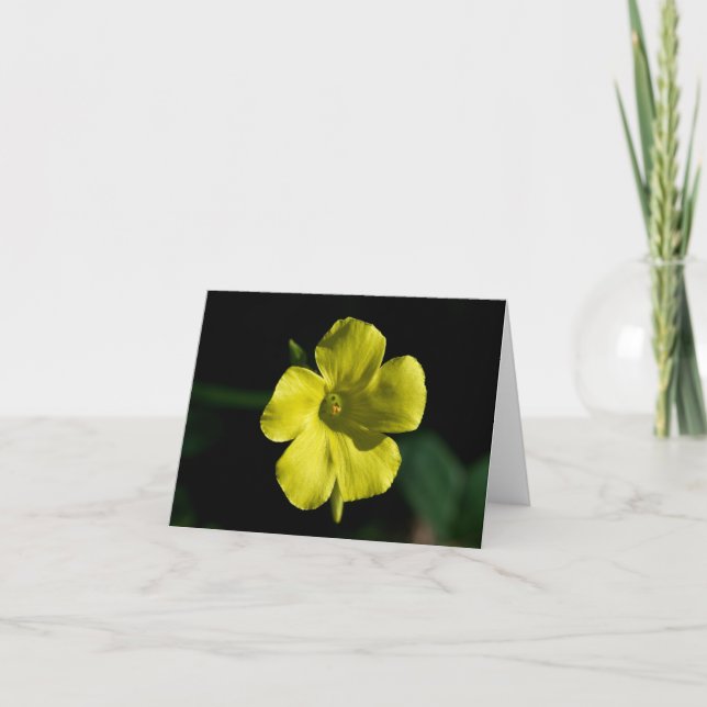 Carte Fleur soleil (Devant)