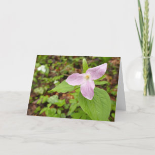 Carte Fleur Trillium Rose