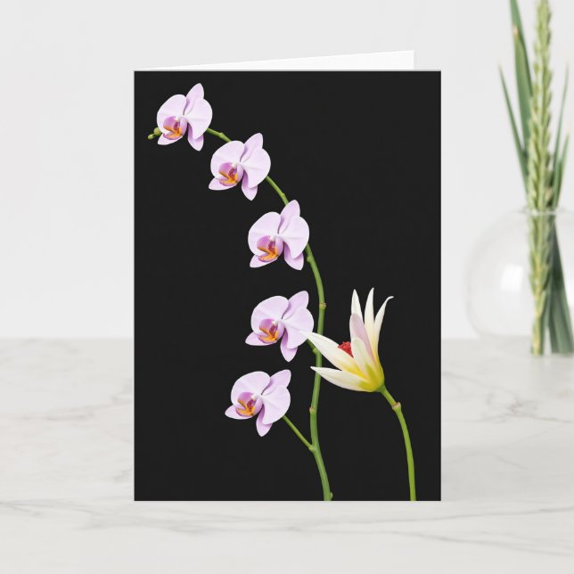 Carte Fleur Velvet Bloom (Devant)