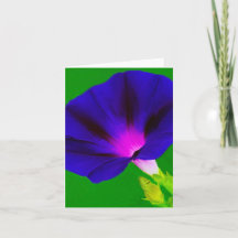 Fleur violet-rose